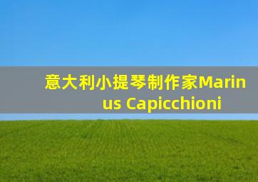 意大利小提琴制作家Marinus Capicchioni